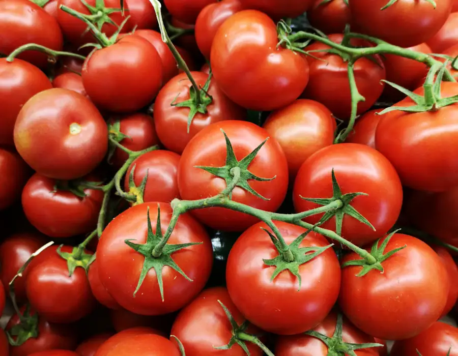 Tomato